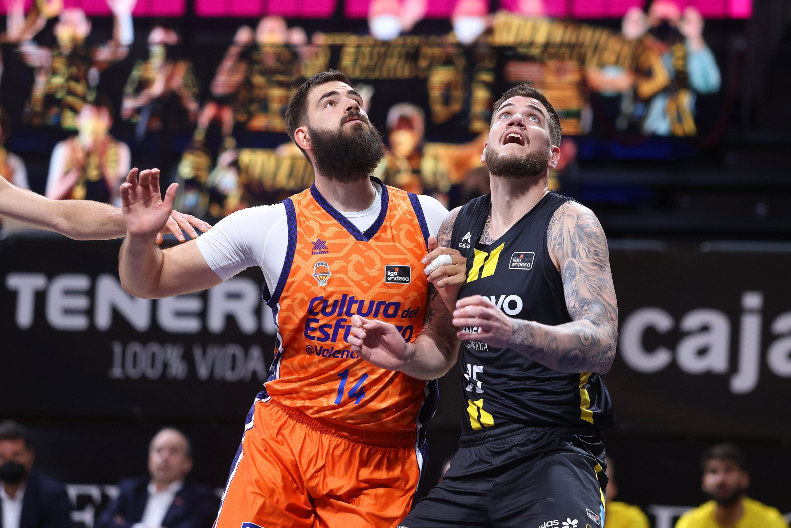 Valencia Basket, único equipo de Euroliga al que ha podido derrotar el Canarias